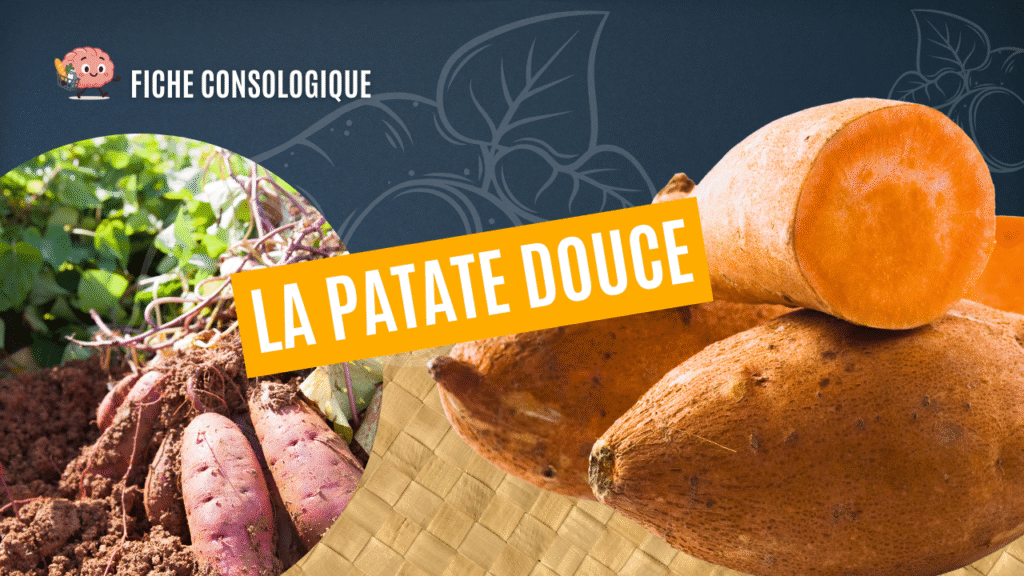 La patate douce